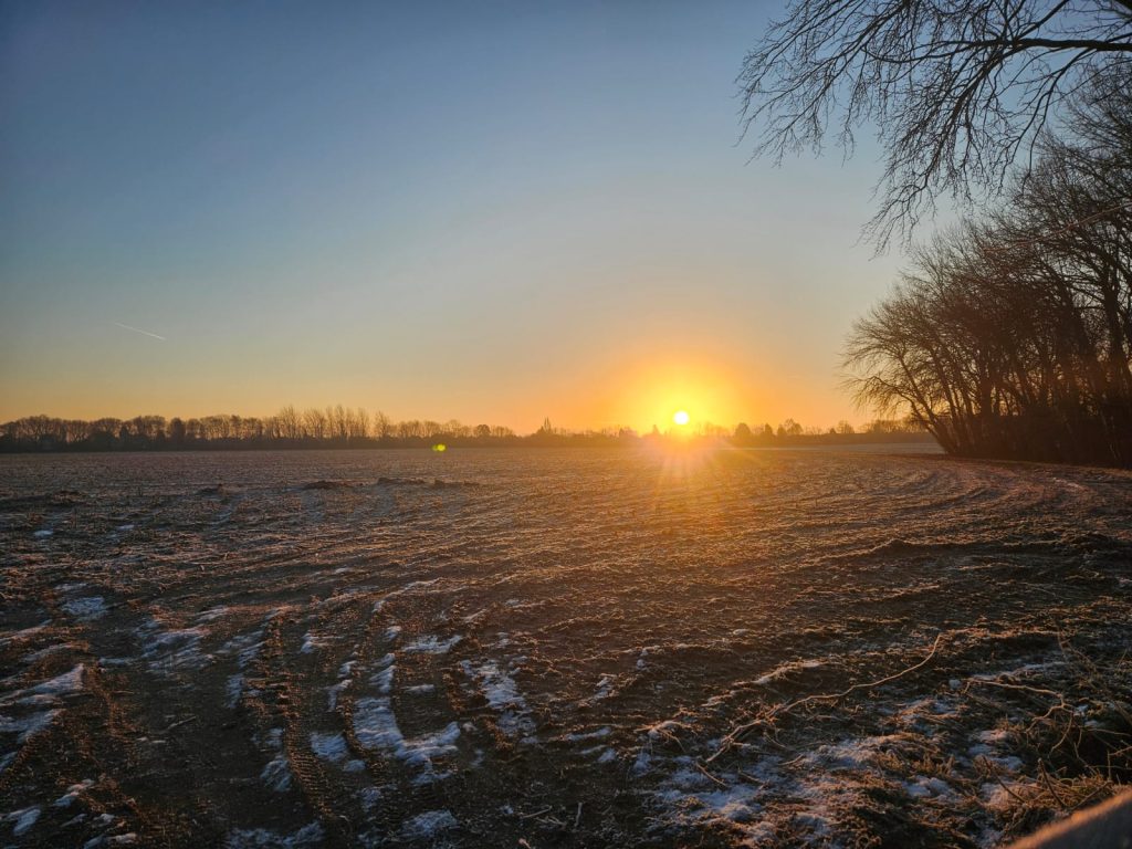 walking in nature is amazing